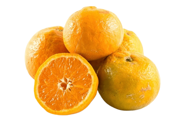 Melissa's Pixie Tangerines