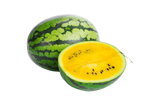 Yellow Watermelon