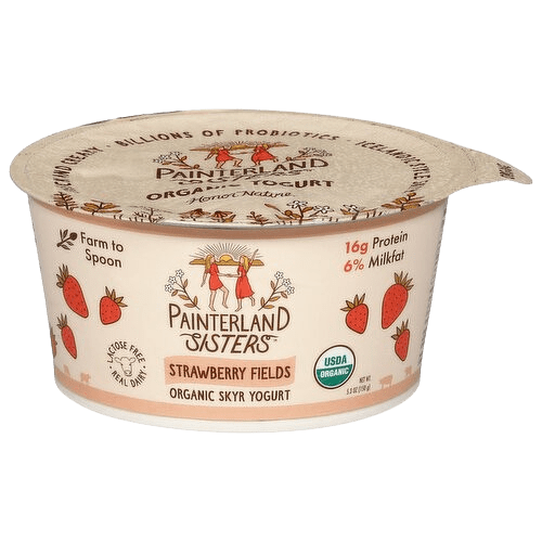 Painterland Sisters Skyr yogurt
