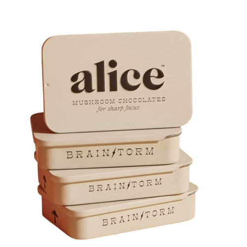 Alice Mushroom Chocolates