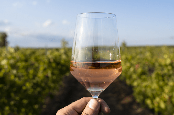 a glass of rose wine being held