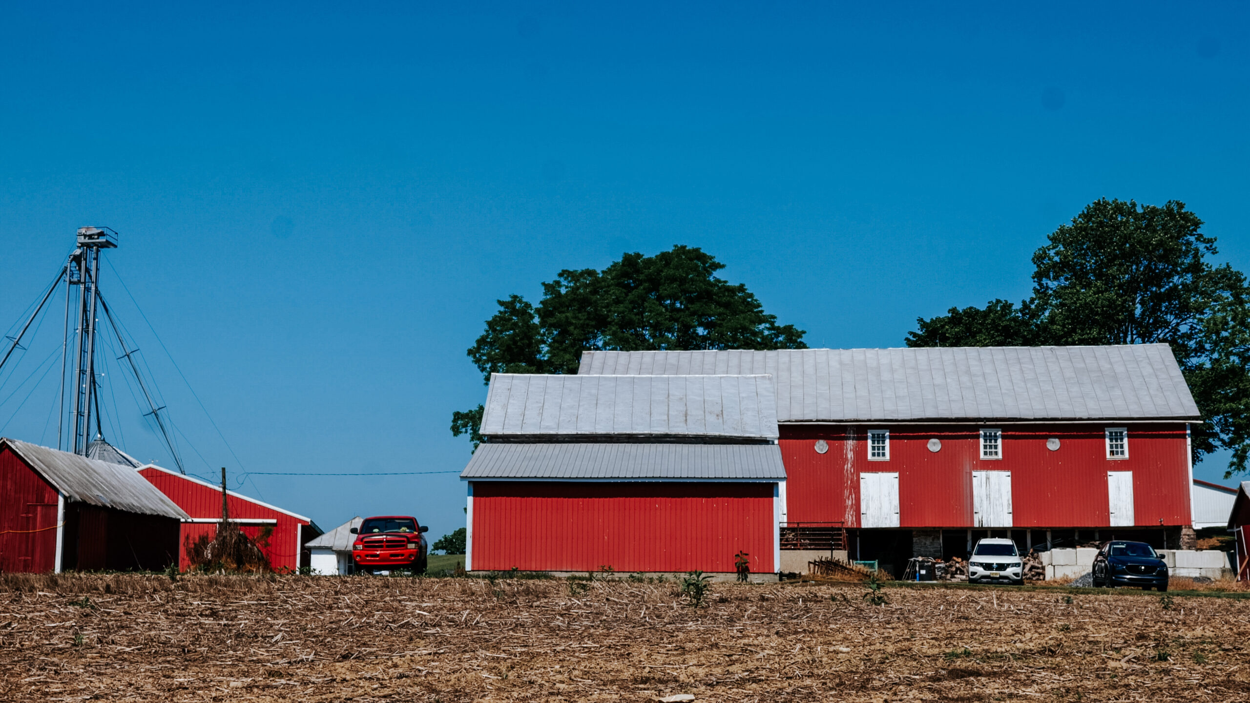 Leidy's_Blue Rock Farms_