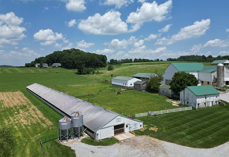 We Know Our Sources: Miller Poultry