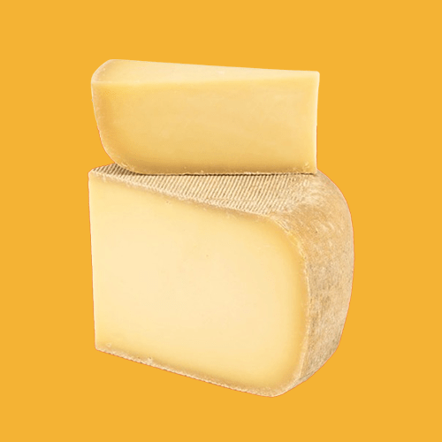 Urban Stead Cheese