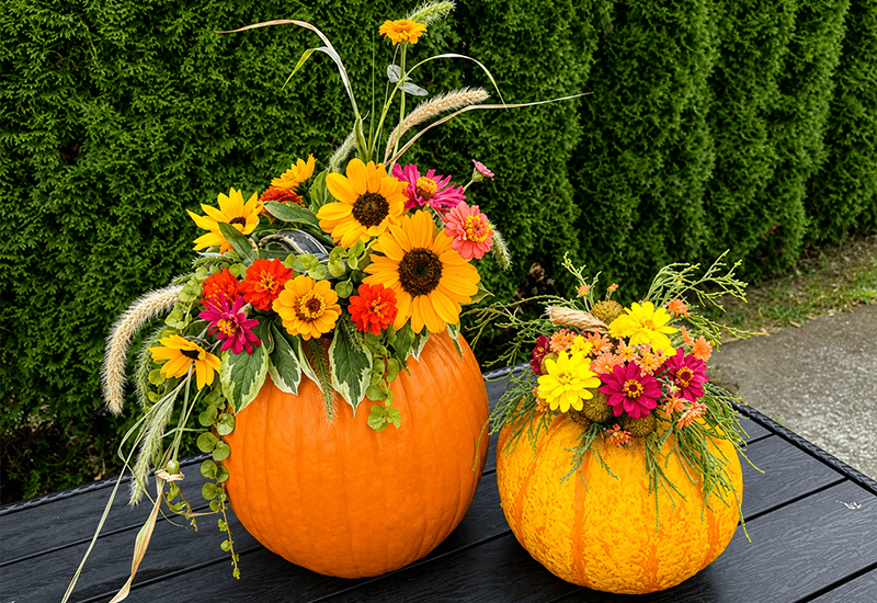 Fresh Flower Market at Heinen’s: Pumpkin Edition