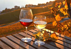 Fall Seasonal Wine Sampling