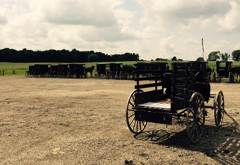 Amish Auction - Buggies