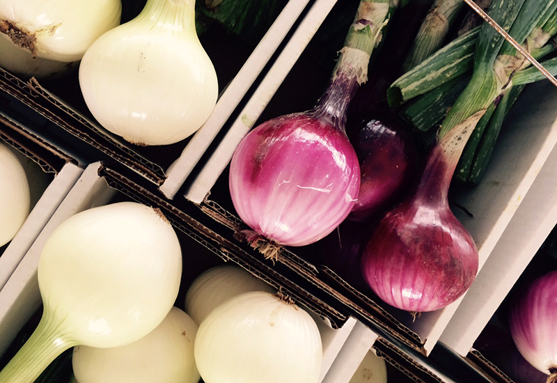 Red and White Candy Onions