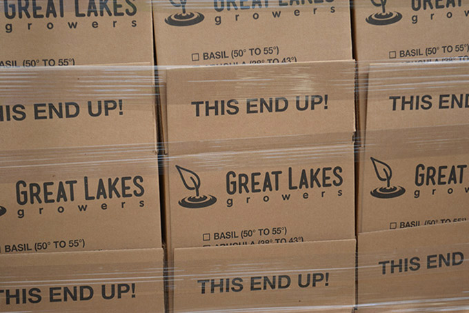 Great Lakes Growers Greenhouse lettuce in boxes