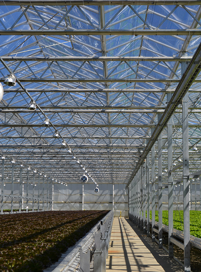 Great Lakes Growers Greenhouse