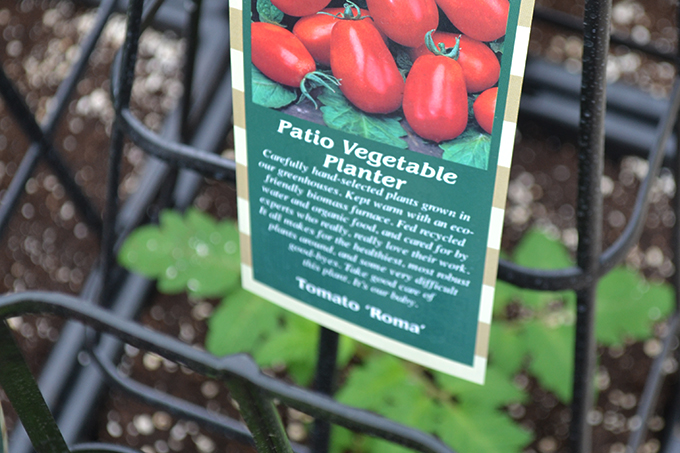 Patio Vegetable Planter - Tomatoes