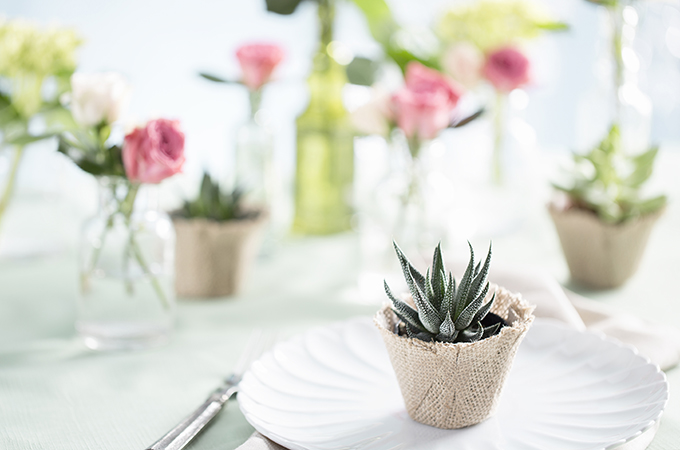 Garden Party place setting