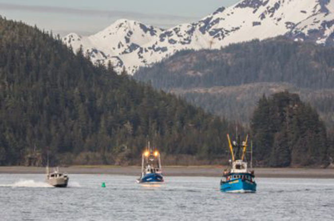 Fishing Boats on the Copper River