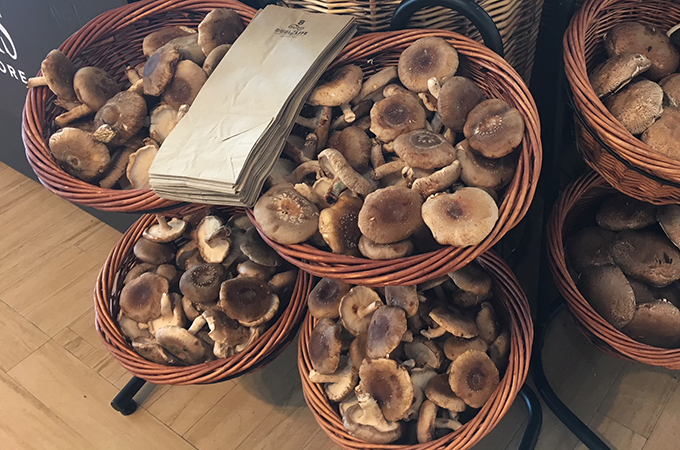 Mushrooms in Basket with Brown Bags
