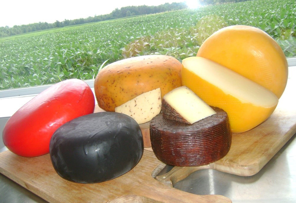 Selection of Mayfield Road Creamery cheeses