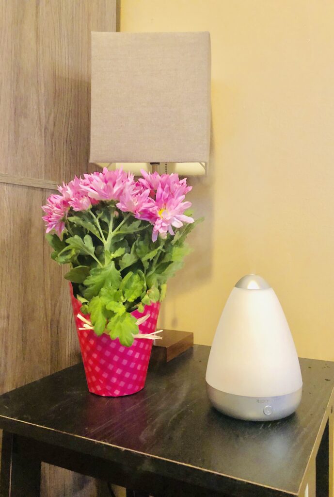 Flowers and Oil Diffuser