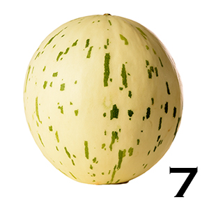 Dino Melon