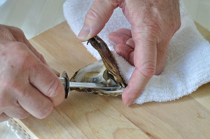 An oyster being shucked