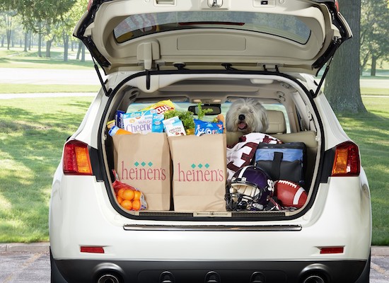 Groceries, sports equipment and dog in back of car