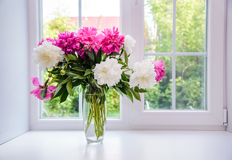 Floral in windowsill