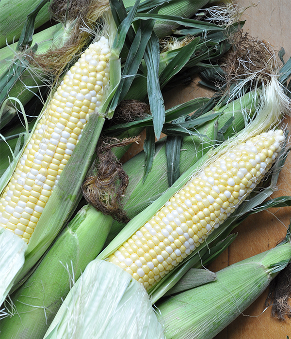 How to Cook Corn on the Cob Raw Corn
