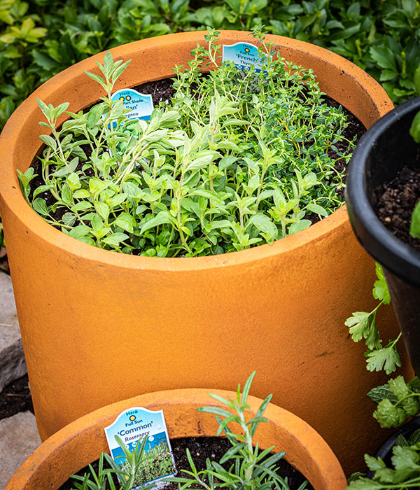 DIY Stacked Herb Garden