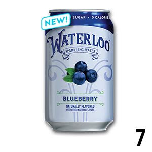 Can of Waterloo blueberry sparkling water