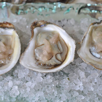Oysters on the Half Shell with Mignonette