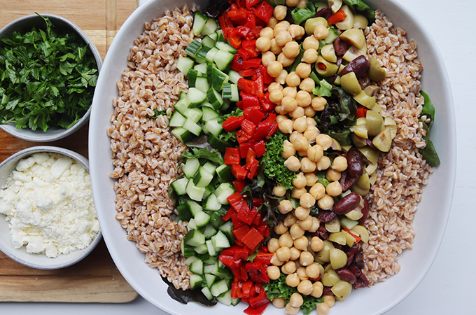 Mediterranean Grain Bowl with Rows of Toppings