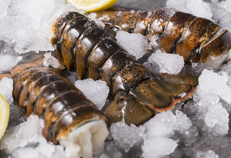 Tristan Lobster Tails on Ice