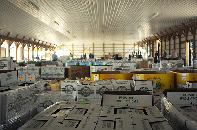 County Line Produce Auction