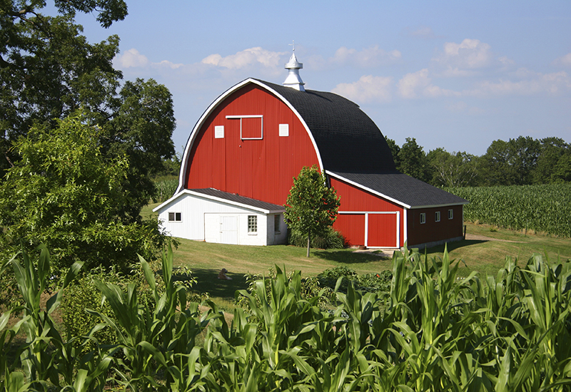 Red Barn of Midwest Grower