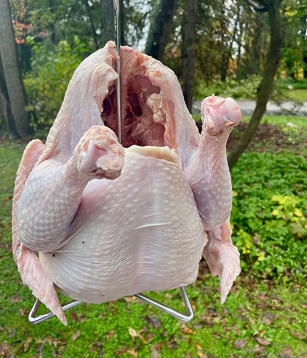Raw Turkey