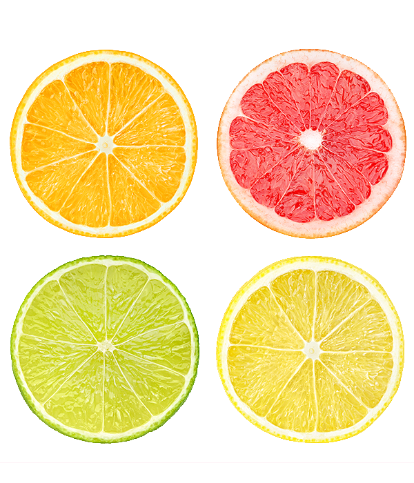 Orange, Grapefruit, Lemon and Lime Slice