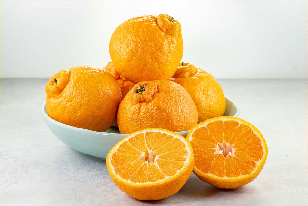 Sumo Orange Vinaigrette