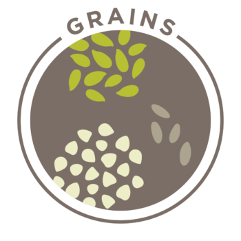 Whole Grains Logo