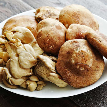 mushroom tips