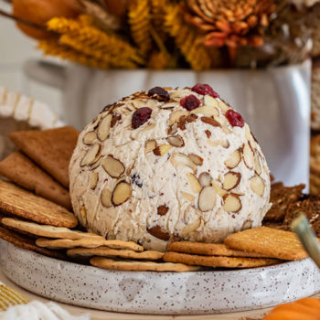 Cranberry and White Cheddar Cheese Ball
