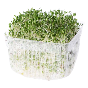 Alfalfa Sprouts in Packaging