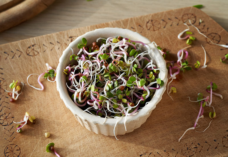 Bean Sprouts in a Bowl of a Brown Place Mat